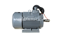 Электродвигатель для W-22(22 KW),YE3-160L2-2