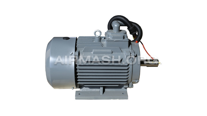 Электродвигатель для W-22(22 KW),YE3-160L2-2