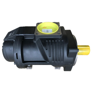 Одноступенчатый винтовой блок EVO28 V001